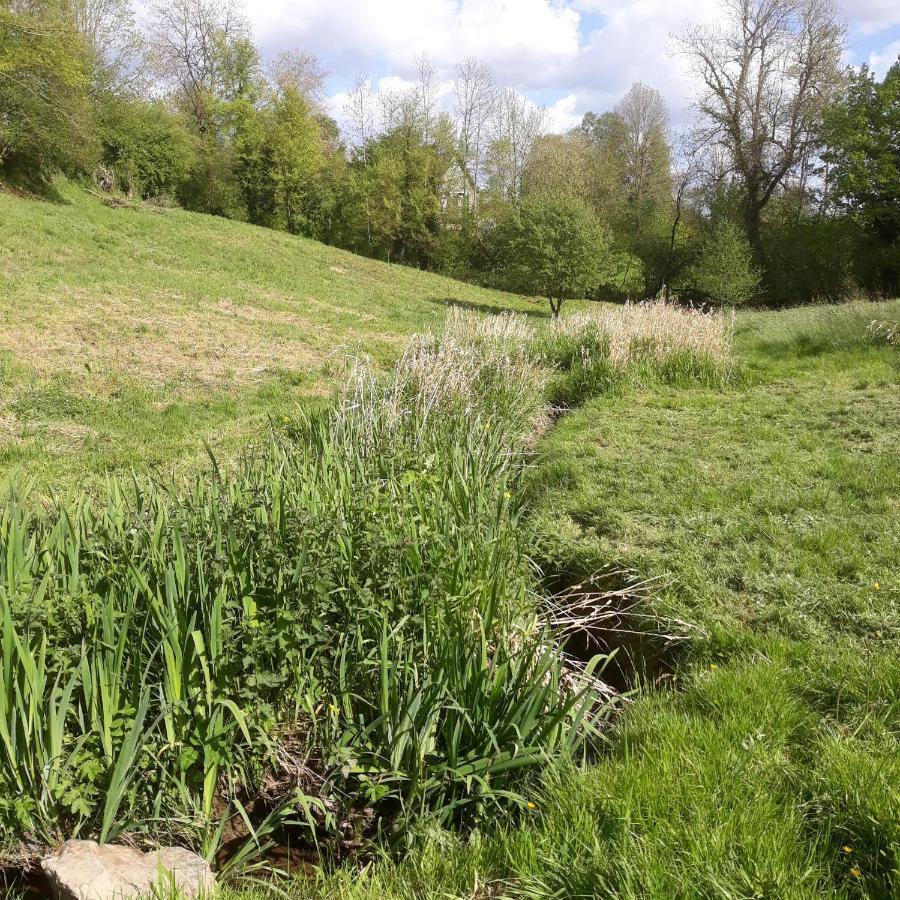 Gites Nature & Espace - Le Puits Des Souhaits Villedieu-les-Poeles-Rouffigny Luaran gambar